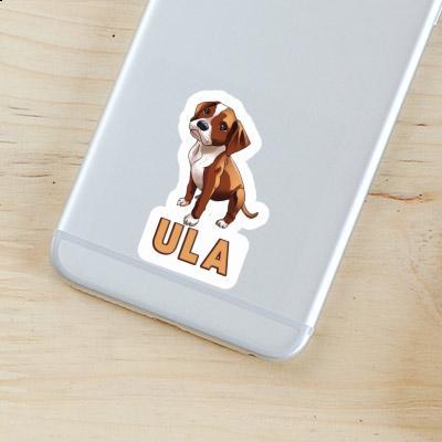 Boxerhund Sticker Ula Image