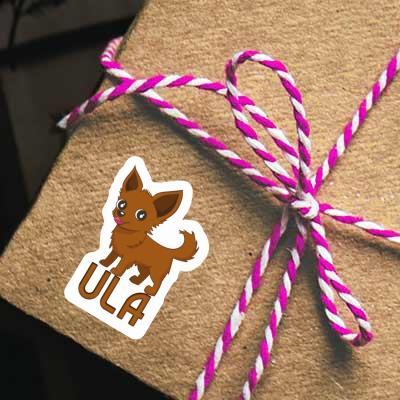 Chihuahua Sticker Ula Gift package Image