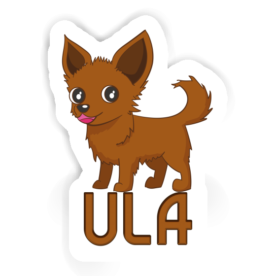 Sticker Ula Chihuahua Notebook Image