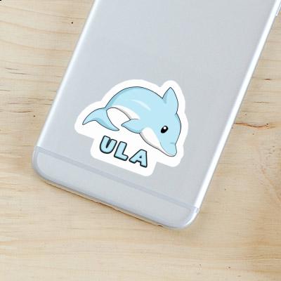 Ula Sticker Delfin Gift package Image