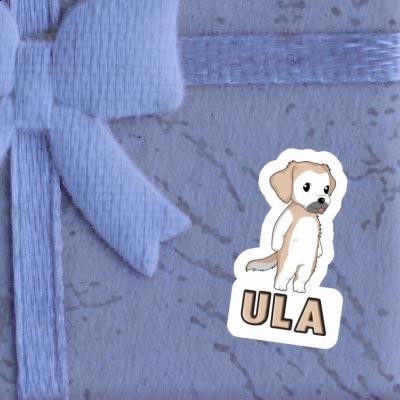 Autocollant Golden Retriever Ula Image