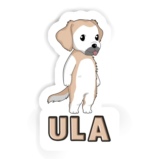 Autocollant Golden Retriever Ula Laptop Image