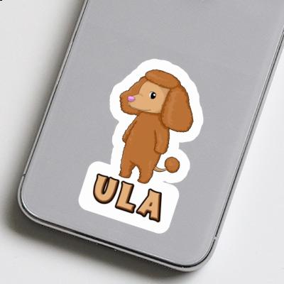 Poodle Sticker Ula Laptop Image