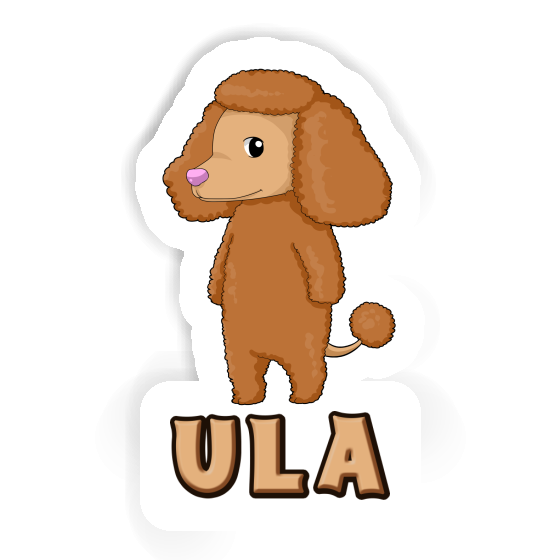 Poodle Sticker Ula Gift package Image