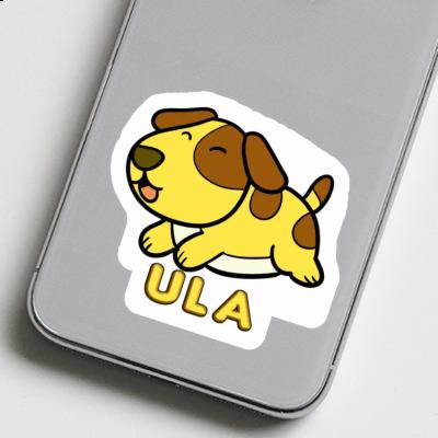 Chien Autocollant Ula Gift package Image