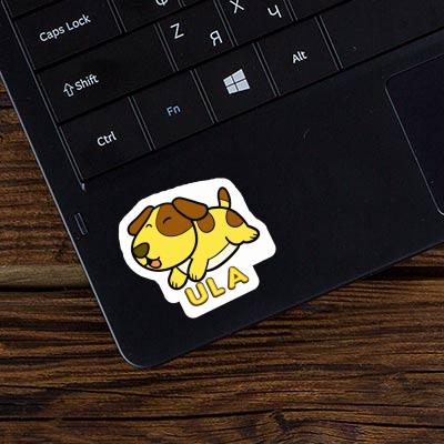 Ula Sticker Hund Laptop Image