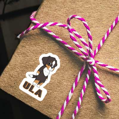 Aufkleber Berner Sennenhund Ula Gift package Image