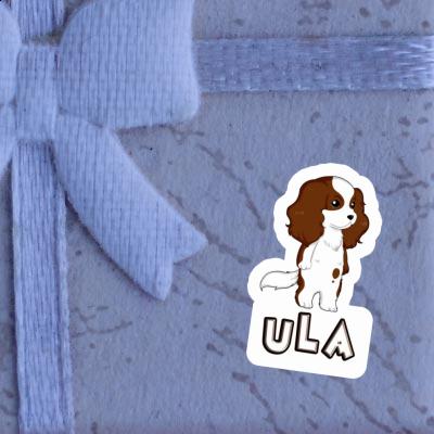 Ula Sticker Cavalier King Charles Spaniel Image