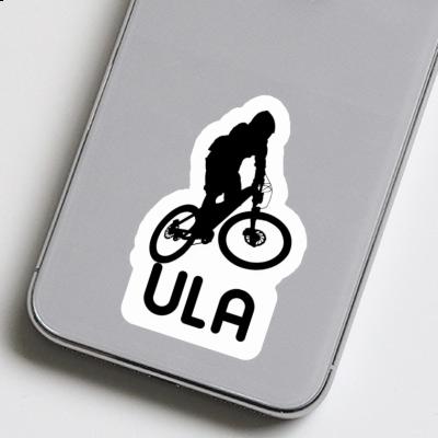 Sticker Downhiller Ula Gift package Image