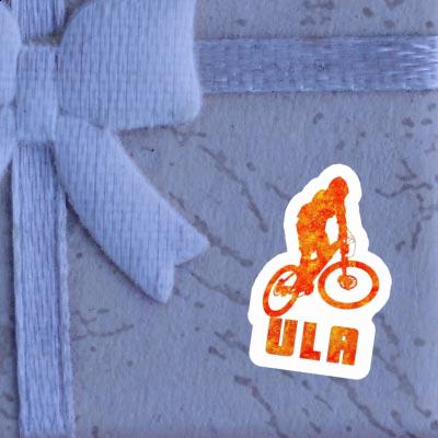 Sticker Downhiller Ula Notebook Image