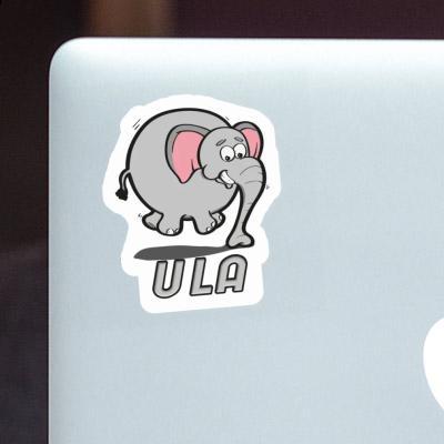 Elefant Aufkleber Ula Gift package Image