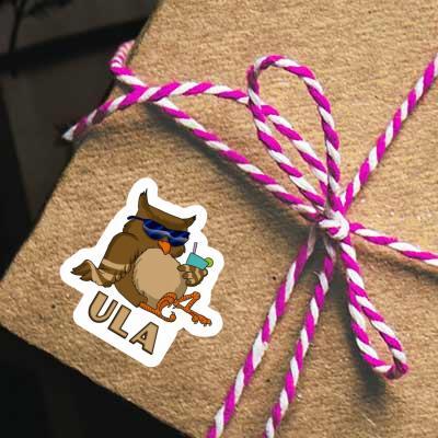 Sticker Eule Ula Gift package Image