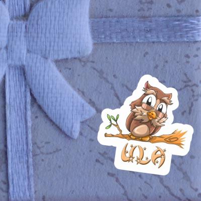 Ula Sticker Owl Laptop Image