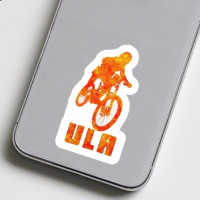 Freeride Biker Autocollant Ula Notebook Image