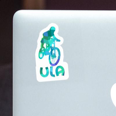 Sticker Freeride Biker Ula Notebook Image