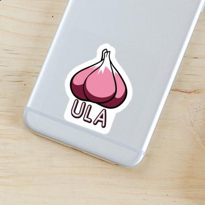 Garlic Sticker Ula Laptop Image