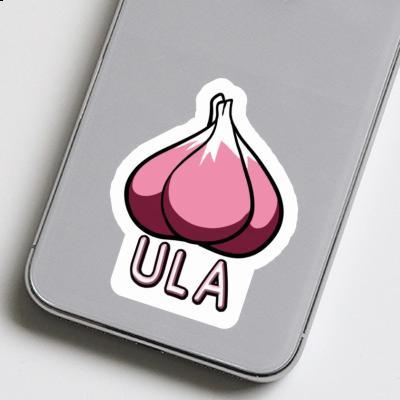 Garlic Sticker Ula Laptop Image