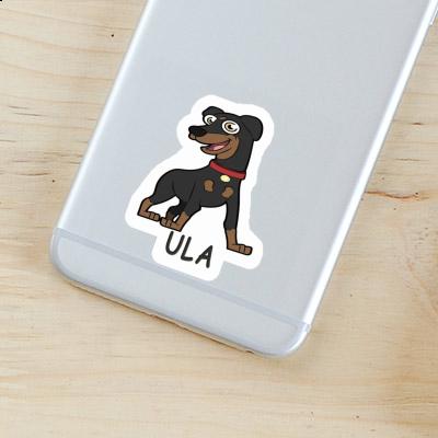 Aufkleber Pinscher Ula Gift package Image