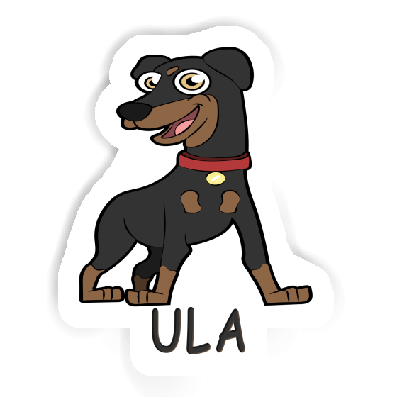 Aufkleber Pinscher Ula Gift package Image