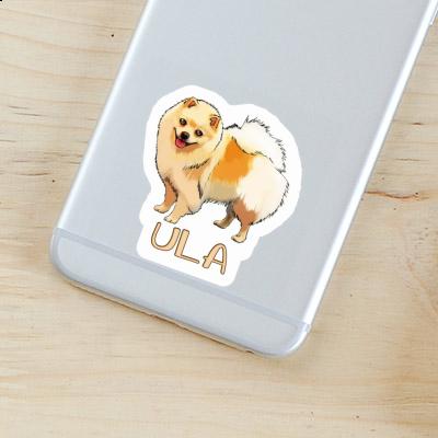 Sticker Ula German Spitz Gift package Image