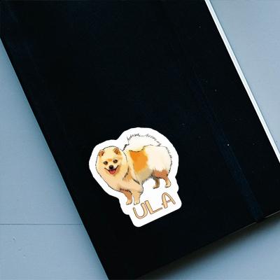 Sticker Ula German Spitz Gift package Image