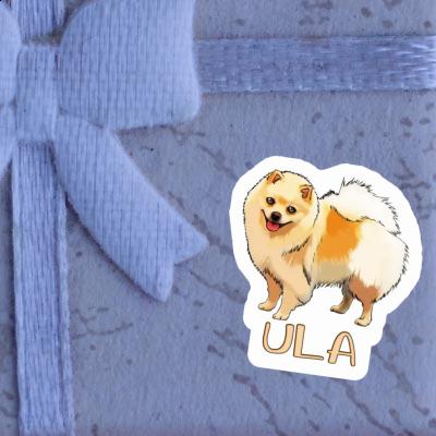 Sticker Ula German Spitz Gift package Image