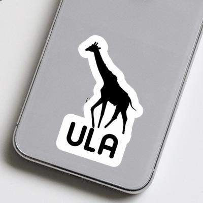 Sticker Giraffe Ula Gift package Image