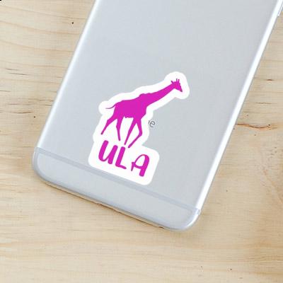 Sticker Giraffe Ula Laptop Image