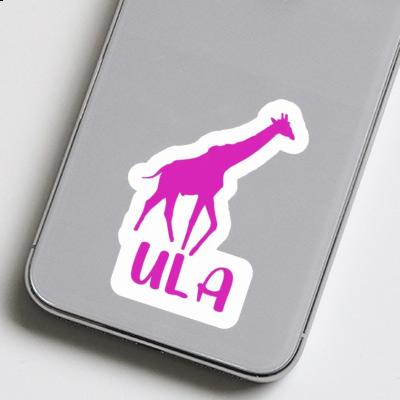 Sticker Giraffe Ula Gift package Image