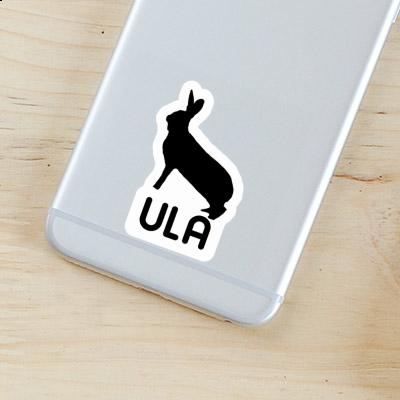 Ula Sticker Rabbit Gift package Image