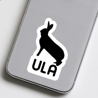 Ula Sticker Rabbit Image