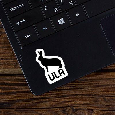 Ula Sticker Rabbit Notebook Image