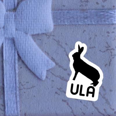 Ula Sticker Rabbit Laptop Image