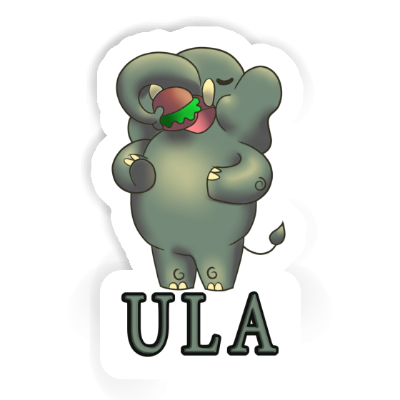 Sticker Hamburger Ula Gift package Image