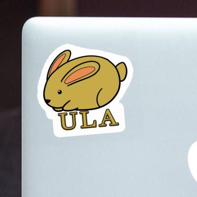 Autocollant Lapin Ula Laptop Image