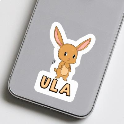 Autocollant Ula Lapin Gift package Image