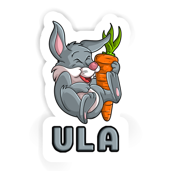 Ula Sticker Easter bunny Gift package Image