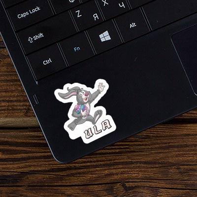 Ula Sticker Rugby rabbit Gift package Image