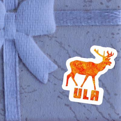 Autocollant Cerf Ula Gift package Image