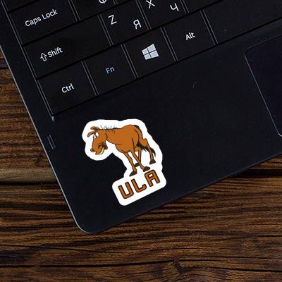 Sticker Horse Ula Notebook Image