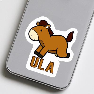 Sticker Ula Horse Gift package Image