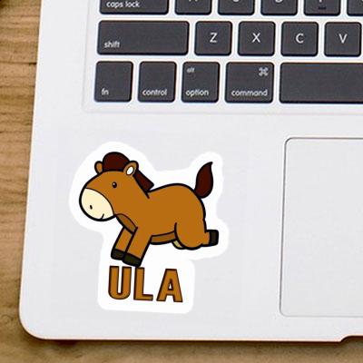 Sticker Ula Horse Laptop Image