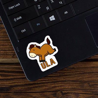 Sticker Ula Horse Gift package Image