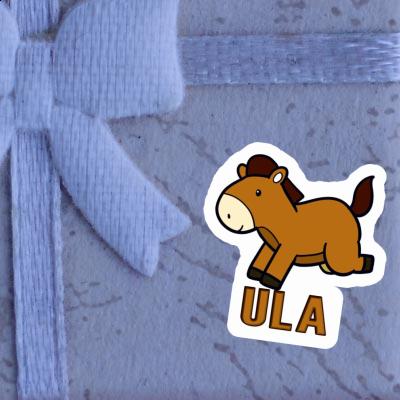 Sticker Ula Horse Notebook Image