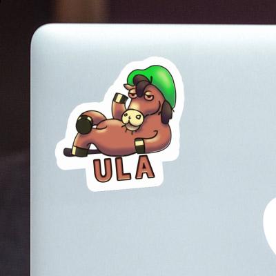 Ula Sticker Pferd Gift package Image