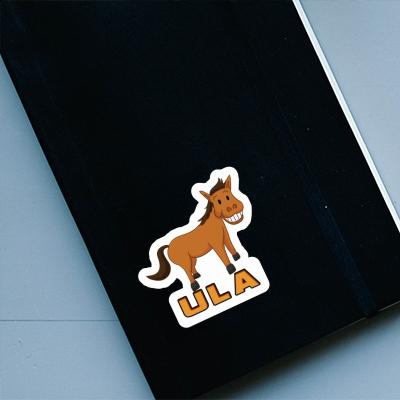 Sticker Ula Grinning Horse Laptop Image