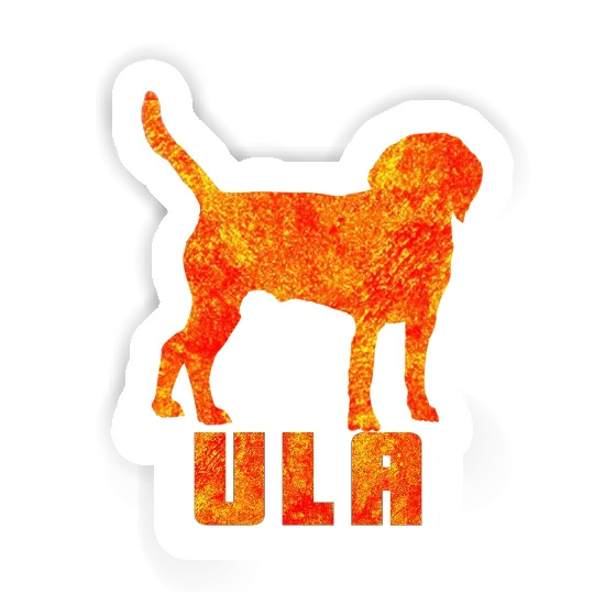 Sticker Hound Ula Gift package Image