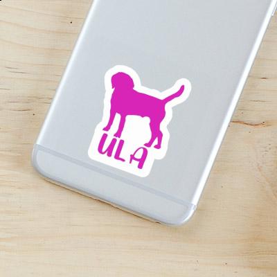 Sticker Dog Ula Gift package Image