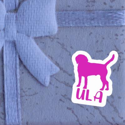 Autocollant Chien Ula Gift package Image