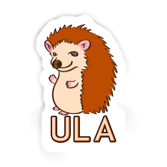 Ula Sticker Hedgehog Gift package Image